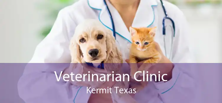 Veterinarian Clinic Kermit Texas
