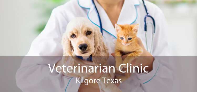 Veterinarian Clinic Kilgore Texas
