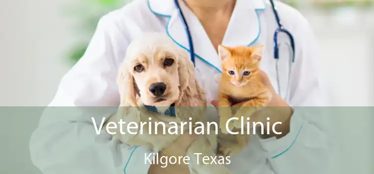 Veterinarian Clinic Kilgore Texas