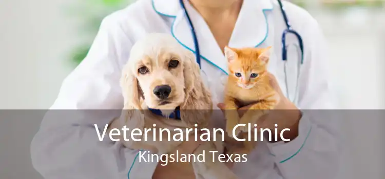 Veterinarian Clinic Kingsland Texas