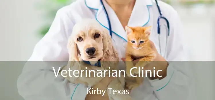 Veterinarian Clinic Kirby Texas