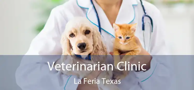 Veterinarian Clinic La Feria Texas