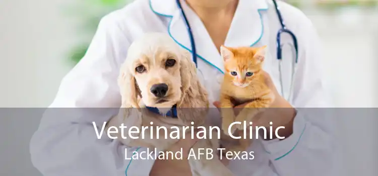 Veterinarian Clinic Lackland AFB Texas