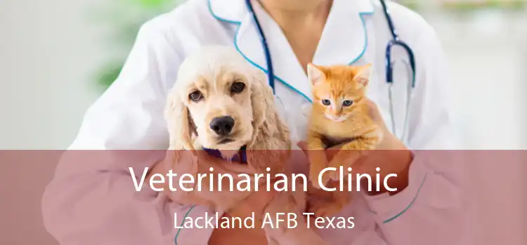 Veterinarian Clinic Lackland AFB Texas