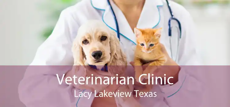 Veterinarian Clinic Lacy Lakeview Texas