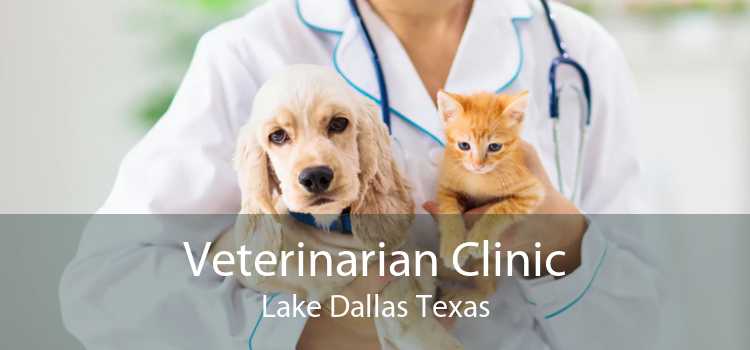Veterinarian Clinic Lake Dallas Texas