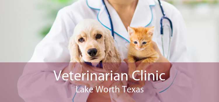 Veterinarian Clinic Lake Worth Texas