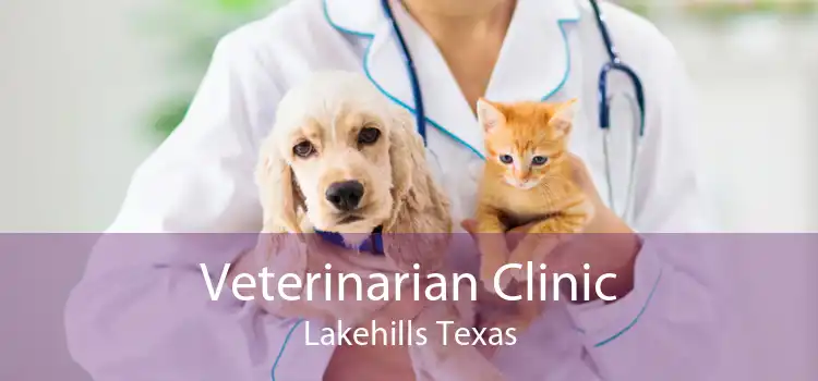 Veterinarian Clinic Lakehills Texas