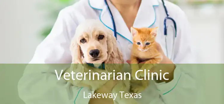 Veterinarian Clinic Lakeway Texas