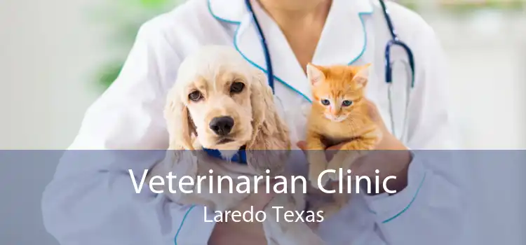Veterinarian Clinic Laredo Texas