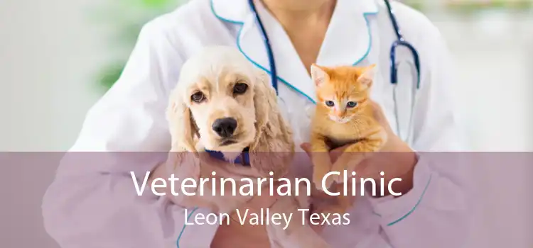 Veterinarian Clinic Leon Valley Texas
