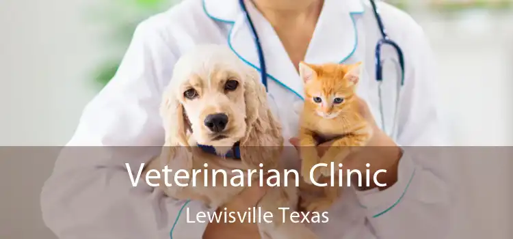 Veterinarian Clinic Lewisville Texas