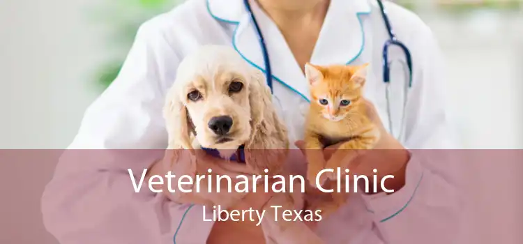 Veterinarian Clinic Liberty Texas