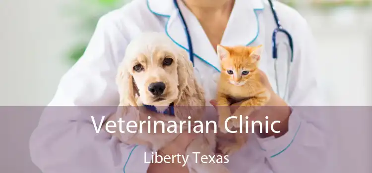 Veterinarian Clinic Liberty Texas