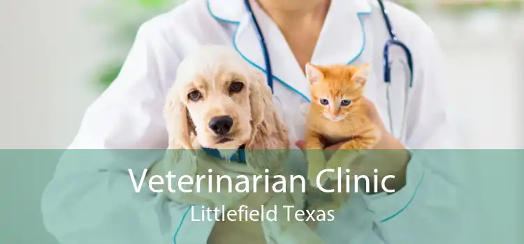 Veterinarian Clinic Littlefield Texas