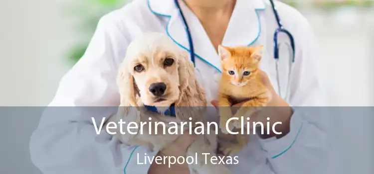 Veterinarian Clinic Liverpool Texas