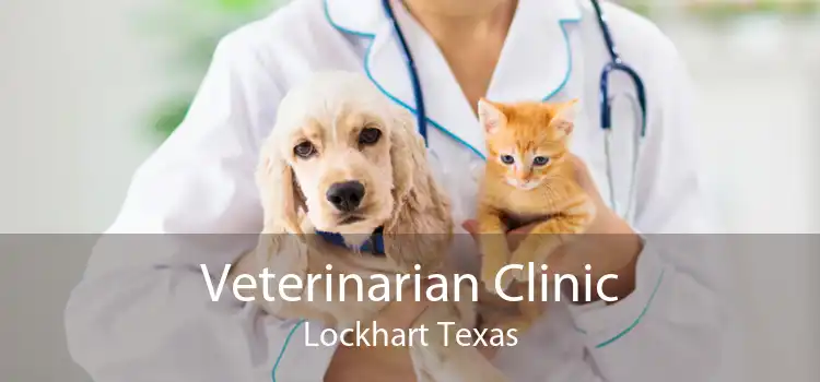 Veterinarian Clinic Lockhart Texas