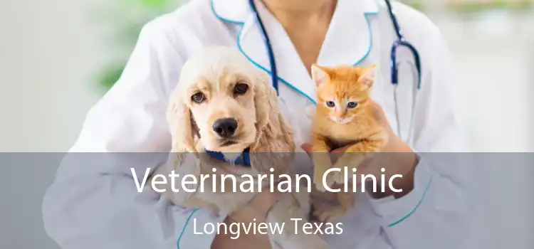 Veterinarian Clinic Longview Texas