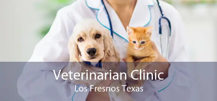 Veterinarian Clinic Los Fresnos Texas