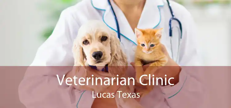 Veterinarian Clinic Lucas Texas