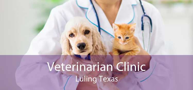 Veterinarian Clinic Luling Texas