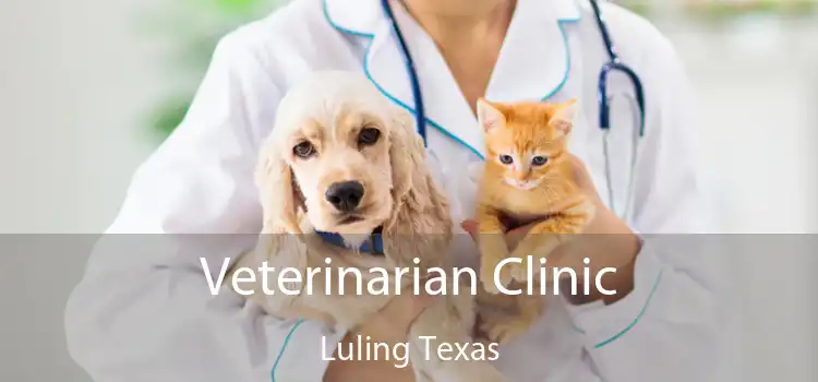 Veterinarian Clinic Luling Texas