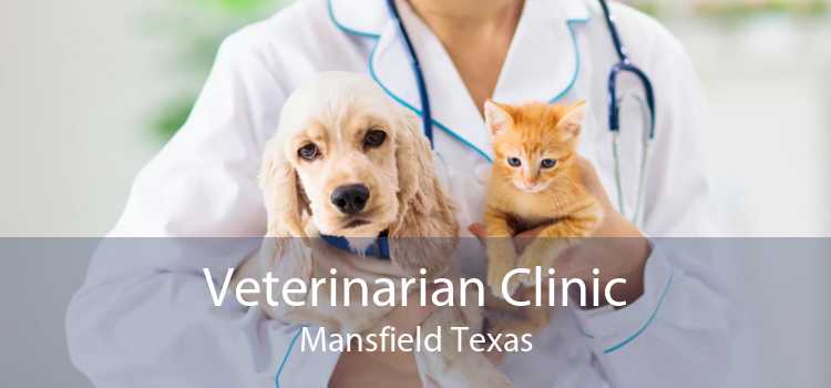 Veterinarian Clinic Mansfield Texas