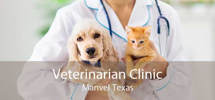 Veterinarian Clinic Manvel Texas