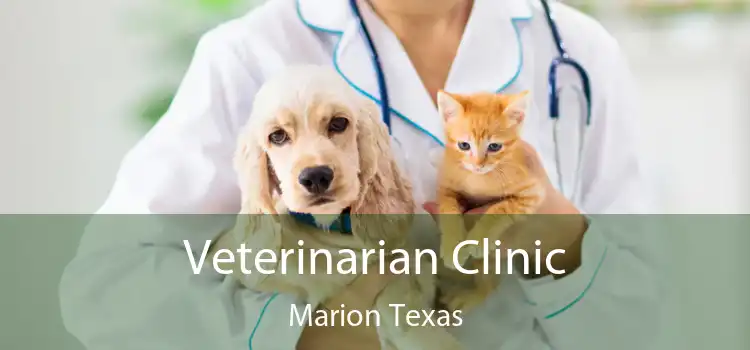 Veterinarian Clinic Marion Texas