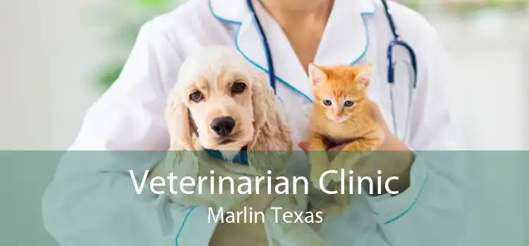 Veterinarian Clinic Marlin Texas