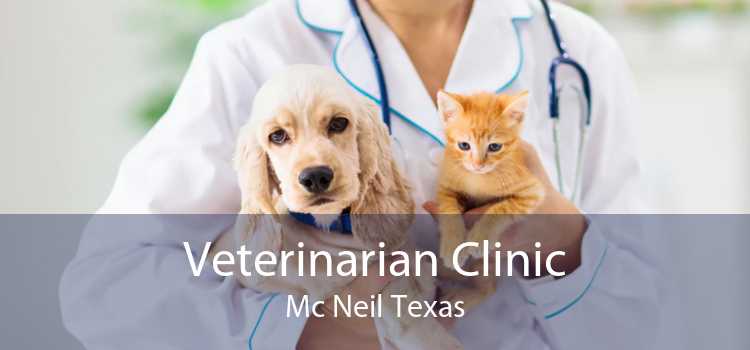 Veterinarian Clinic Mc Neil Texas