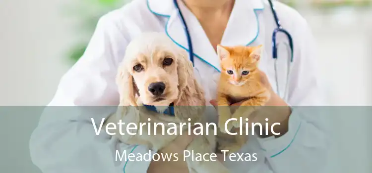 Veterinarian Clinic Meadows Place Texas