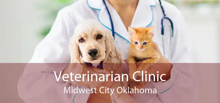 Veterinarian Clinic Midwest City Oklahoma