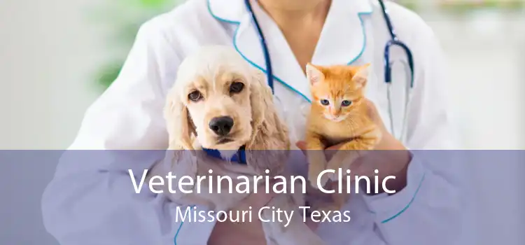 Veterinarian Clinic Missouri City Texas