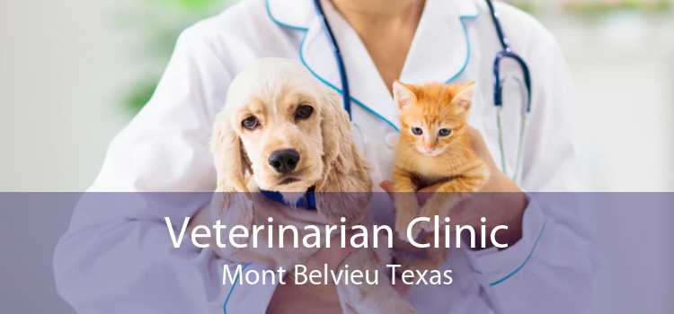 Veterinarian Clinic Mont Belvieu Texas