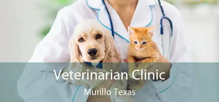 Veterinarian Clinic Murillo Texas