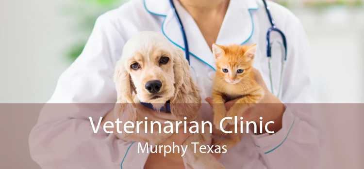 Veterinarian Clinic Murphy Texas