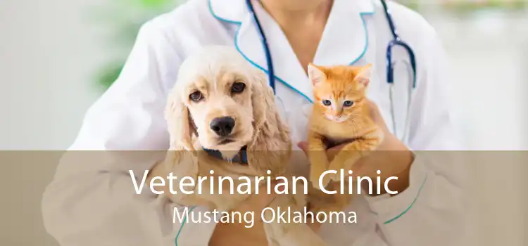 Veterinarian Clinic Mustang Oklahoma