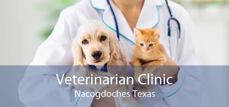 Veterinarian Clinic Nacogdoches Texas