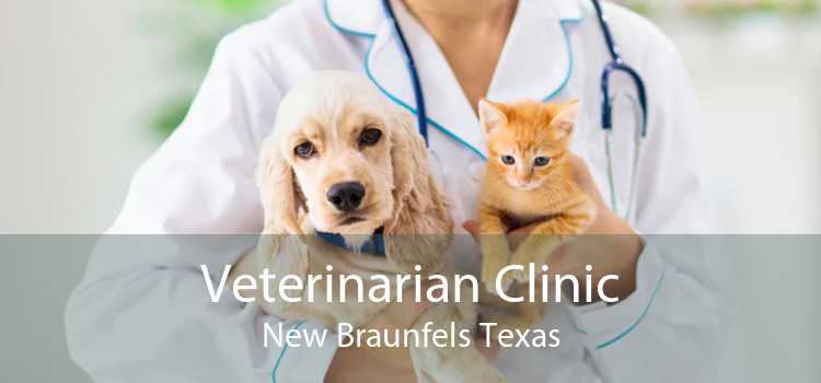 Veterinarian Clinic New Braunfels Texas