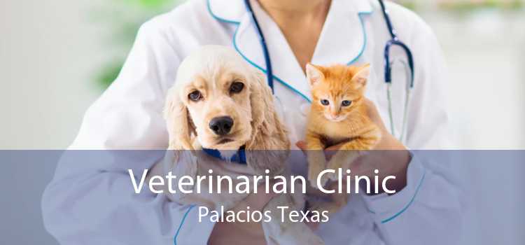 Veterinarian Clinic Palacios Texas