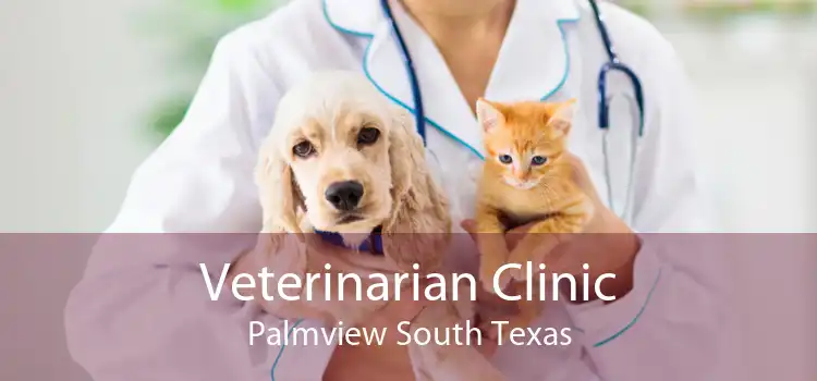 Veterinarian Clinic Palmview South Texas