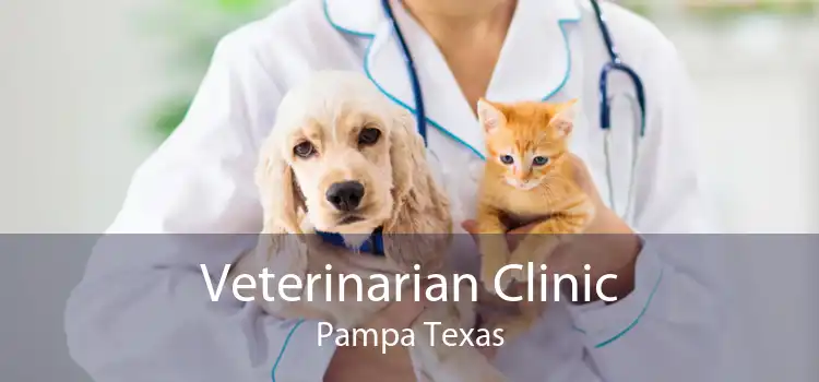 Veterinarian Clinic Pampa Texas