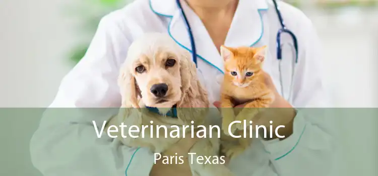 Veterinarian Clinic Paris Texas