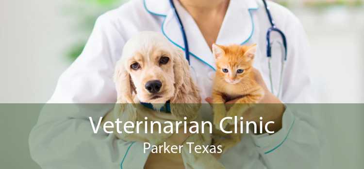 Veterinarian Clinic Parker Texas