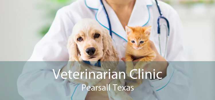 Veterinarian Clinic Pearsall Texas