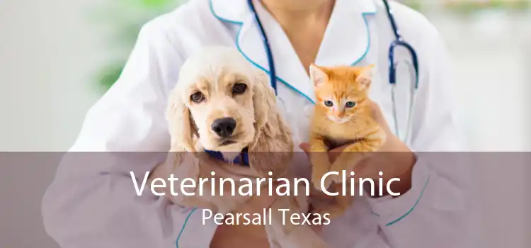Veterinarian Clinic Pearsall Texas