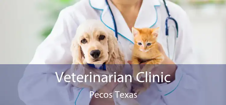 Veterinarian Clinic Pecos Texas