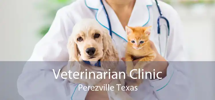 Veterinarian Clinic Perezville Texas