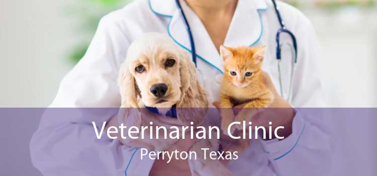 Veterinarian Clinic Perryton Texas